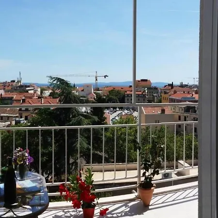View *